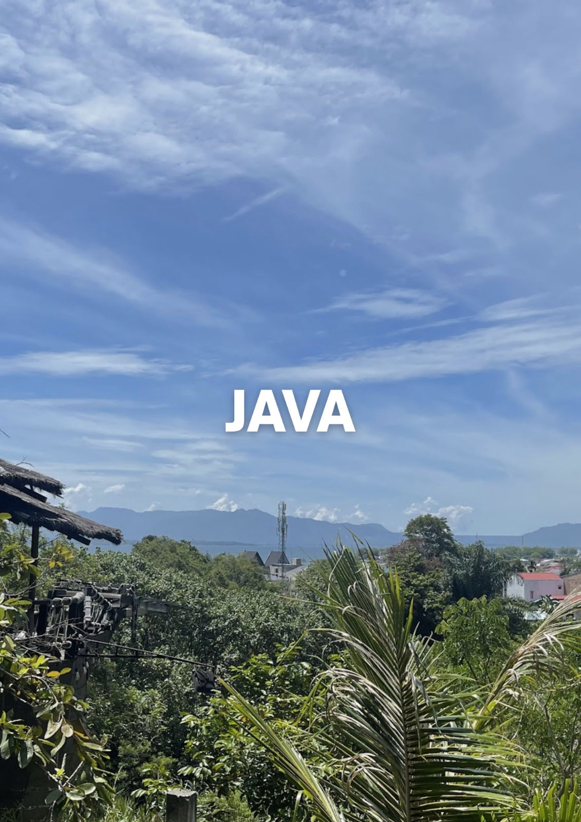 Java