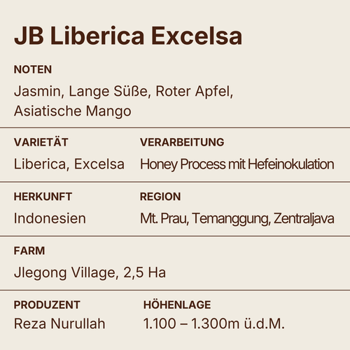 JB Liberica Excelsa